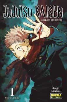 JUJUTSU KAISEN 1 - GEGE AKUTAMI