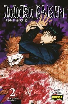 JUJUTSU KAISEN 02 - GEGE AKUTAMI