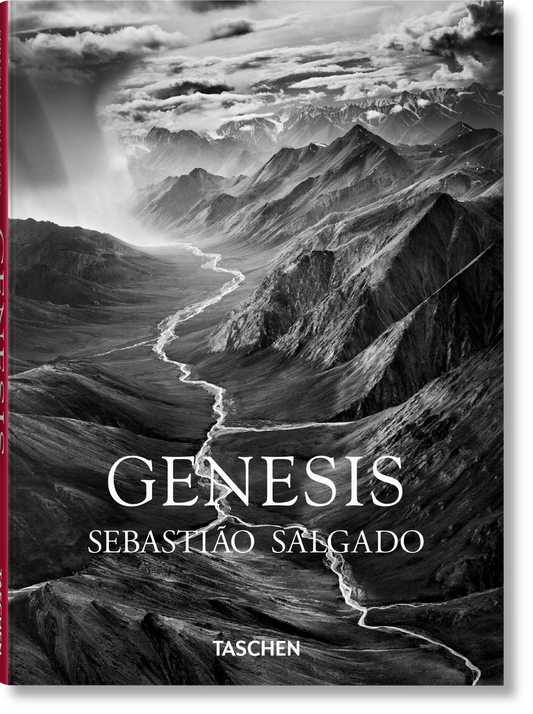 PO-SALGADO, GENESIS-E - 132895