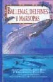 BALLENAS DELFINES Y MARSOPAS - 113216