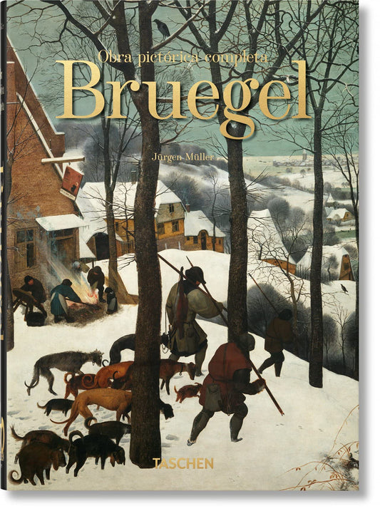 00040 BRUEGEL, PAINTINGS  E - 114696