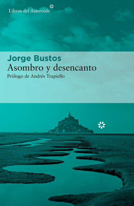 ASOMBRO Y DESENCANTO  -  - 122548
