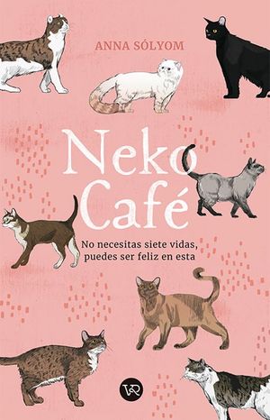 NEKO CAFE - 123393