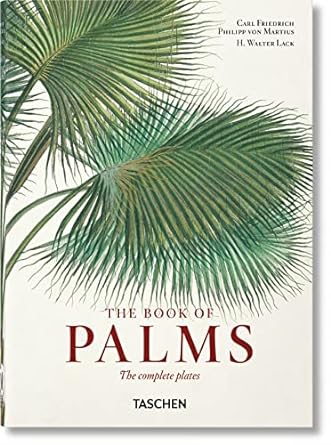 TASCHEN PALMS - 128914