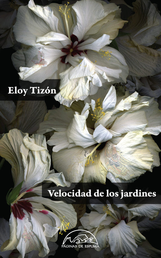 VELOCIDAD DE LOS JARDINES - 129552