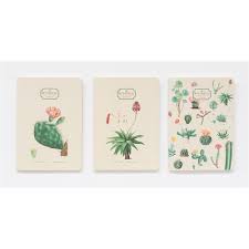 PACK 3 CUADERNOS A6 BOTANICAL CACTI KOKONOTE - 132235