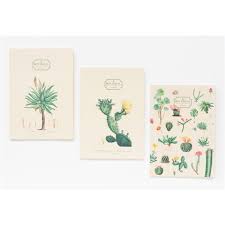 PACK 3 CUADERNOS A5 BOTANICAL CACTI KOKONOTE - 132251