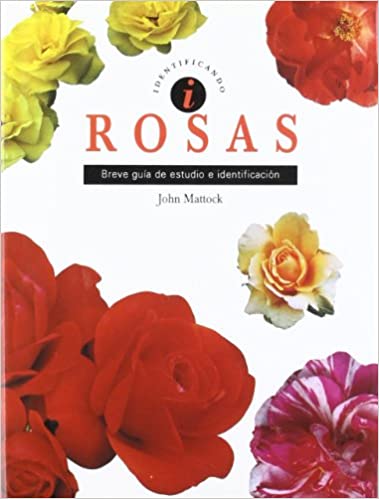 ROSAS - 21946