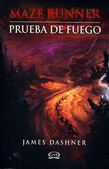 PRUEBA DE FUEGO - 79878