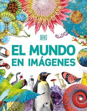 EL MUNDO EN IMAGENES - DORLING KINDERSLEY - VS13413