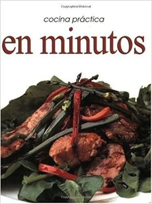 * COCINA PRACTICA EN MINUTOS - ISABEL TOYOS - VS12547