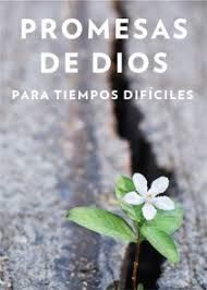 PROMESAS DE DIOS EN TIEMPOS DIFICILES -  - VS14730