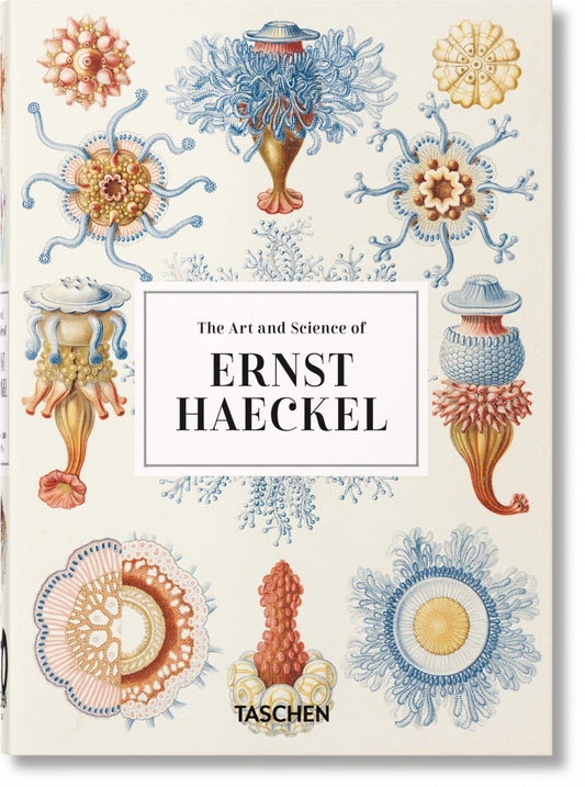 00040 HAECKEL  GB - 114700