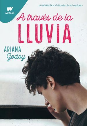 A TRAVES DE LA LLUVIA - GODOY, ARIANA - 127502