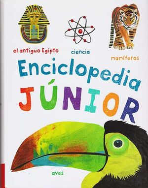 384 PÁGINAS: ENCICLOPEDIA JUNIOR - SILVER DOLPHIN - VS12956