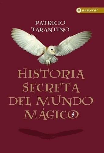 HISTORIA SECRETA DEL MUNDO MAGICO - 109727