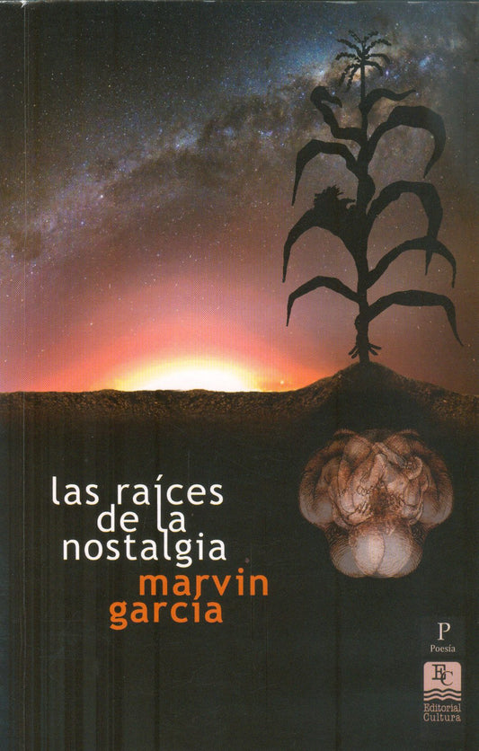 RAICES DE LA NOSTALGIA  -  - 99475